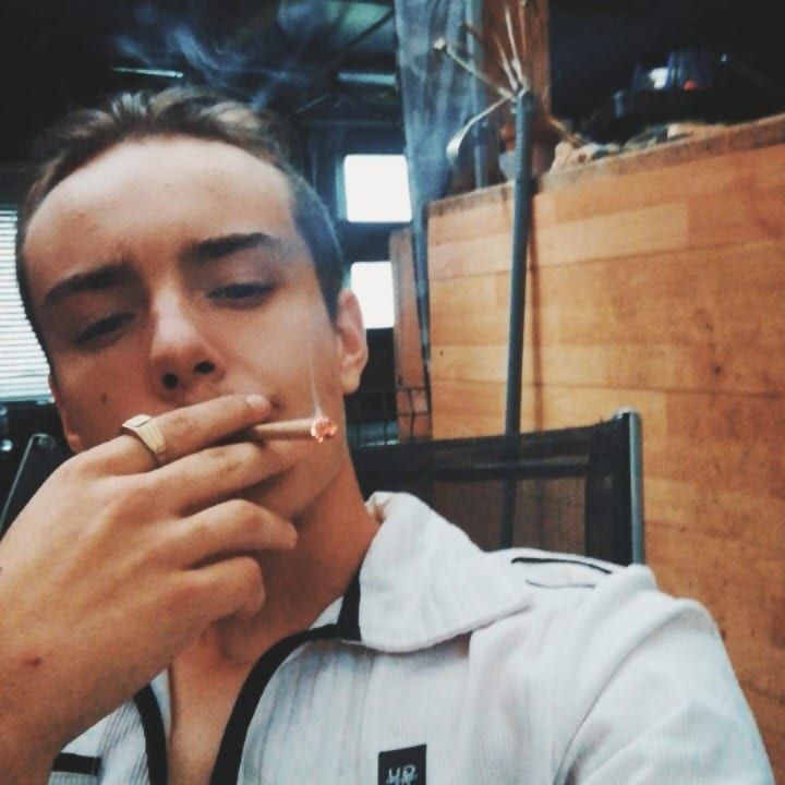 Profil de Dagobert
